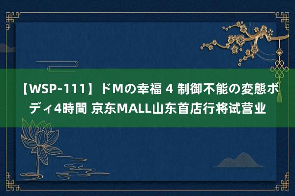 【WSP-111】ドMの幸福 4 制御不能の変態ボディ4時間 京东MALL山东首店行将试营业